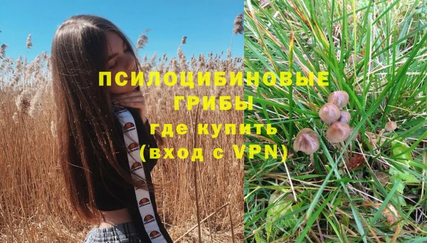 дурь Кинешма