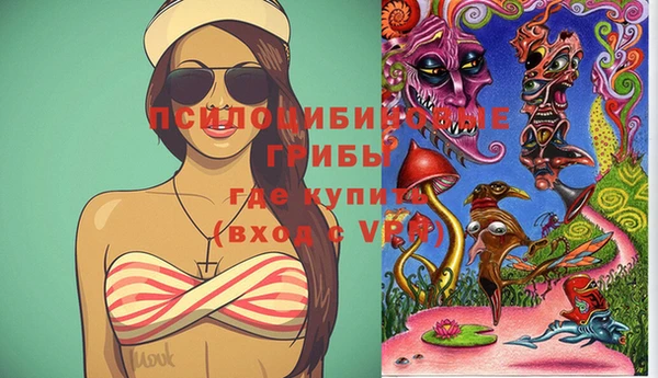 дурь Кинешма