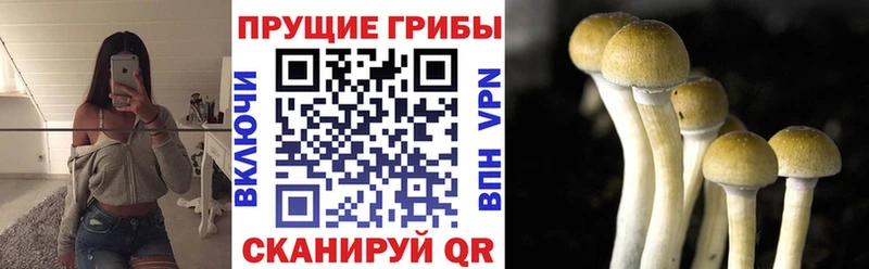 Купить закладки  Белая Холуница  Галлюциногенные грибы прущие грибы 